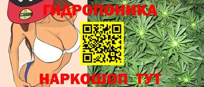 каннабис Славгород